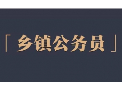 鄉(xiāng)鎮(zhèn)公務員待遇？
