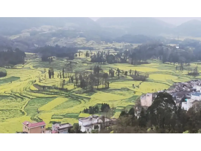 芭田股份主營(yíng)業(yè)務(wù)？